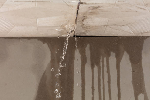 Professional Emergency Water Removal technician working in Wolf Creek, OR
